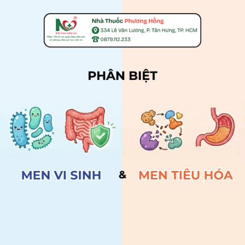 Picture for blog post PHÂN BIỆT MEN VI SINH VÀ MEN TIÊU HÓA: TRÁNH LẠM DỤNG GÂY HẠI ĐƯỜNG RUỘT