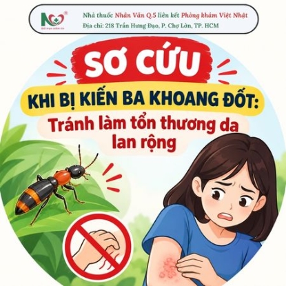 Picture for blog post Sơ cứu khi bị kiến ba khoang đốt: Tránh làm tổn thương da lan rộng