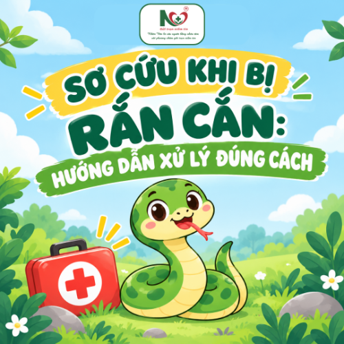 Picture for blog post SƠ CỨU KHI BỊ RẮN CẮN: HƯỚNG DẪN XỬ LÝ ĐÚNG CÁCH